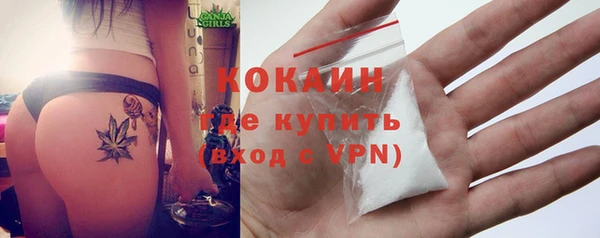 дурь Вяземский