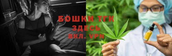 дурь Вяземский