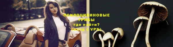 сатива Вязники