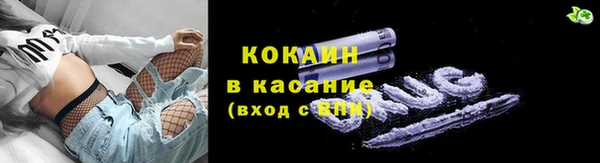 дурь Вяземский